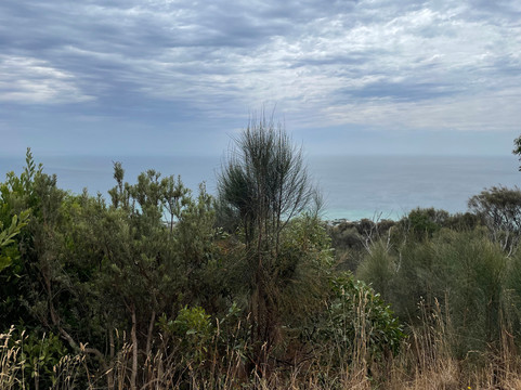 Chapmans Point-Arthurs Seat必去景点