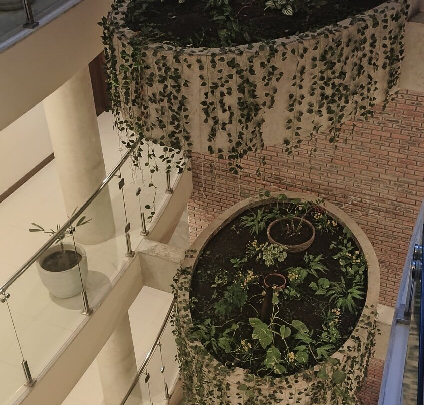 Chairú生态酒店主图