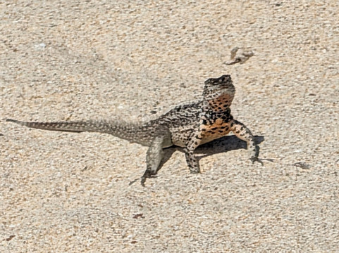 Kajol Lavan Travel, Galapagos Islands-Baltra必去景点
