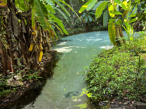 Diego Tour Jalapão-Ponte Alta do Tocantins必去景点