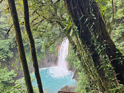 NexusTours-圣何塞必去景点