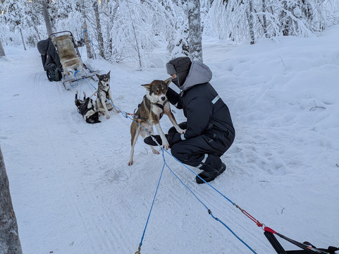 Lights of Vikings-阿比斯库必去景点