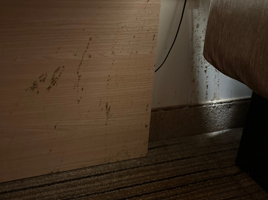 智选假日套房酒店-布赖顿南/US 23公路主图