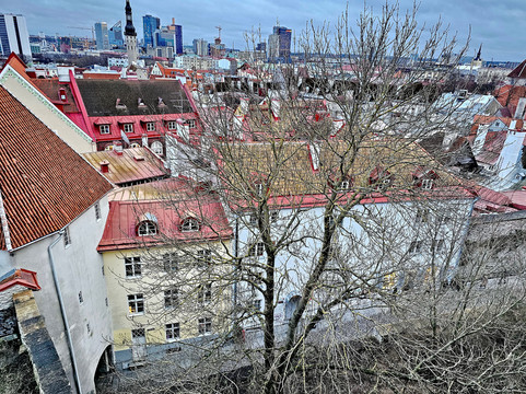 Viewing Point Kohtuotsa-塔林必去景点