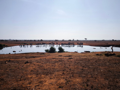 Safari Talk Tours Ltd-蒙巴萨必去景点