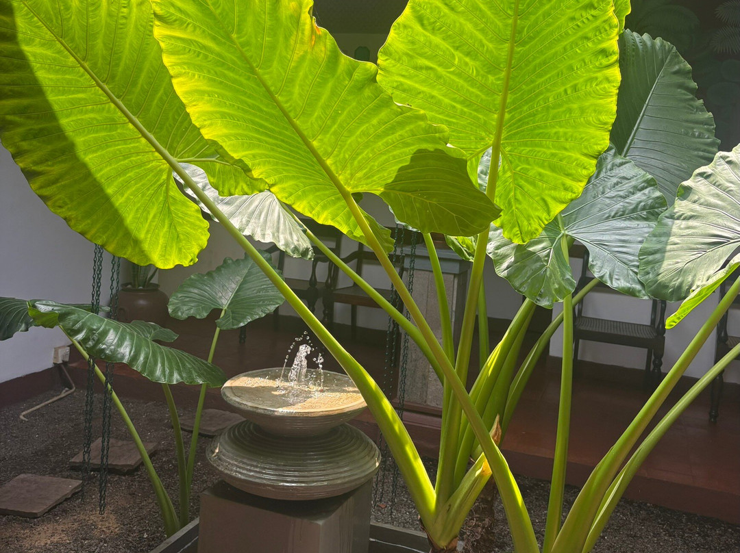 斯蒂哈尔帕阿育吠陀度假村 - 餐点全包/阿育吠陀疗法/瑜珈主图