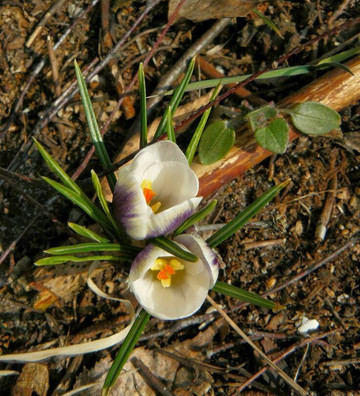 Nature Reserve Eselschwanz-圣马格雷滕必去景点