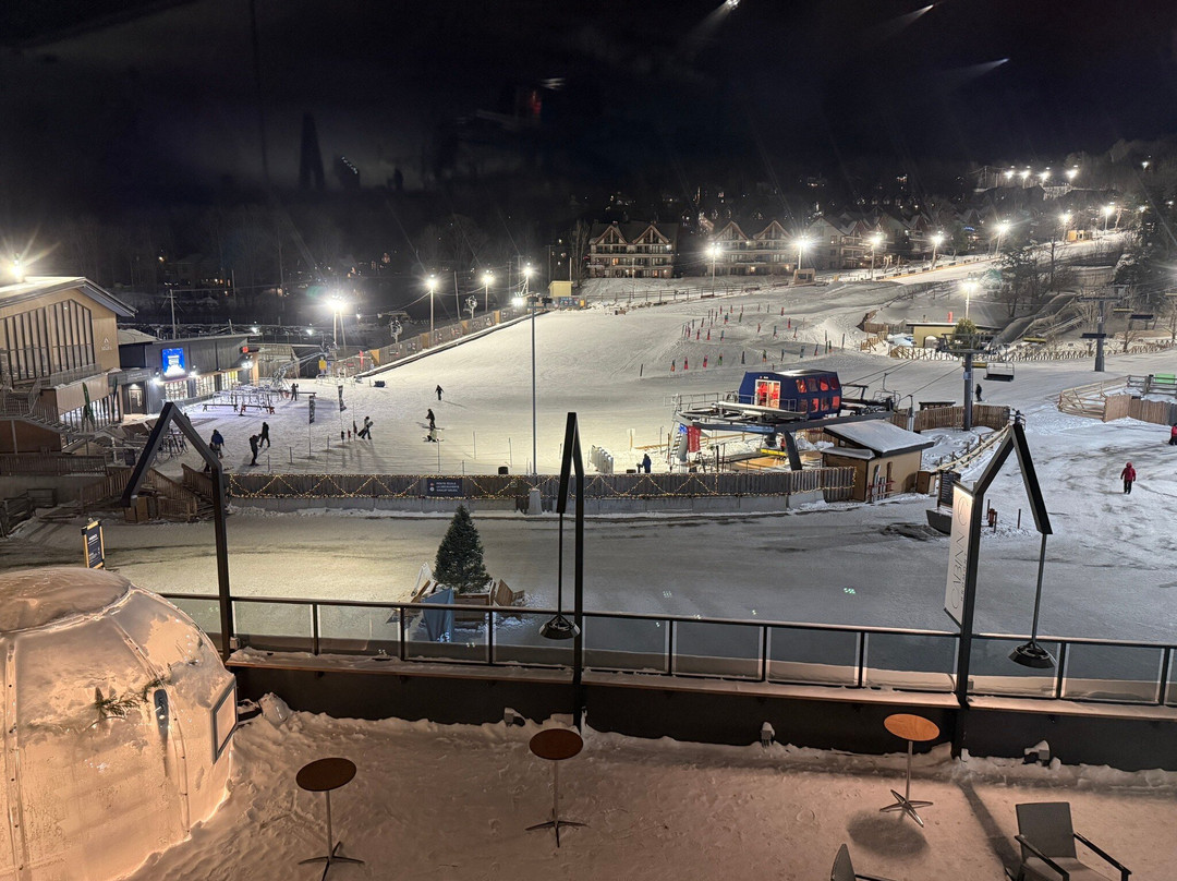 Residence Inn by Marriott Bromont