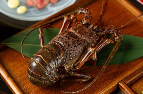 神户牛 铁板烧 先斗町 之市