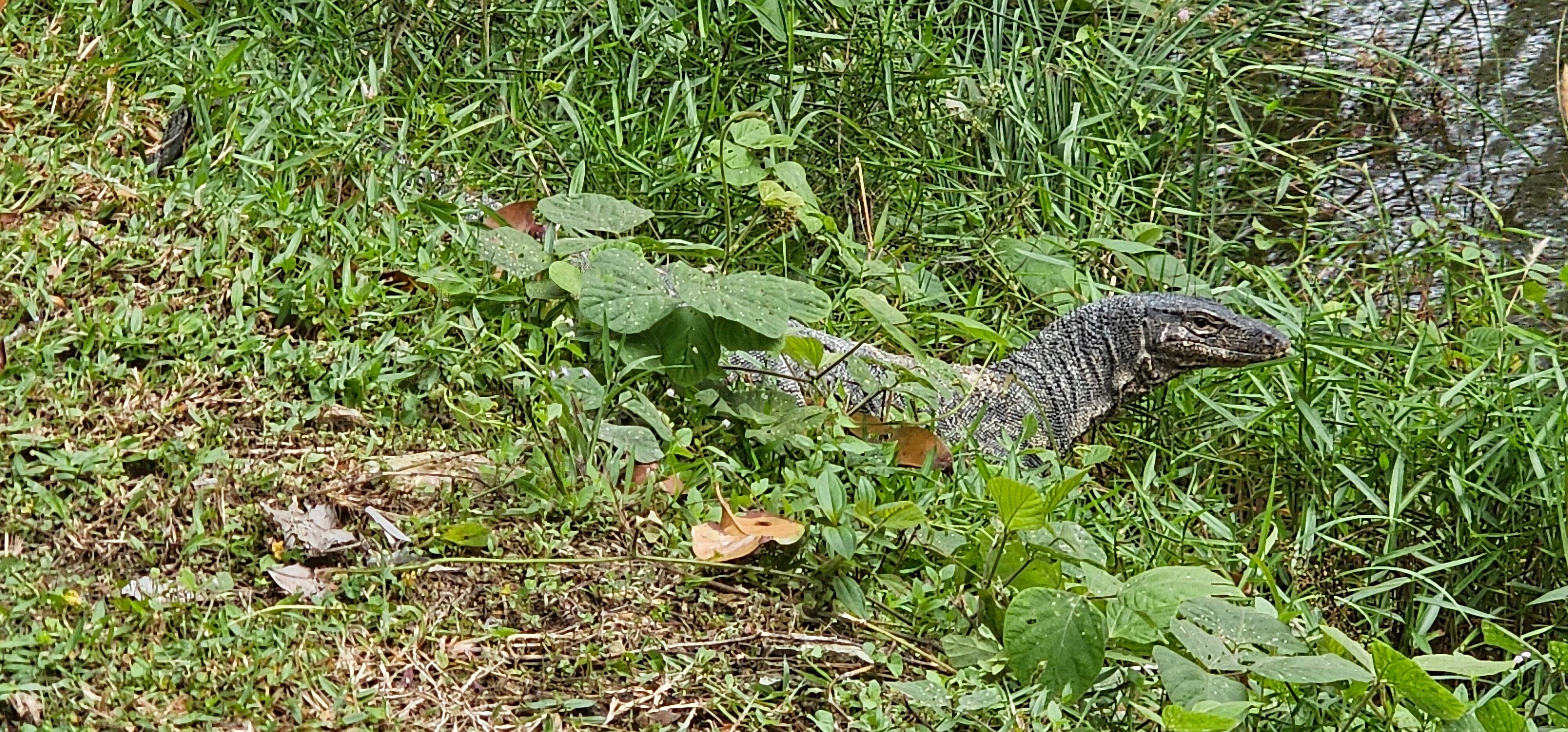 长滩查乐特酒店-浴室