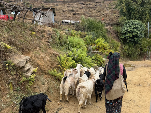 Mountainia Trek-南吉巴札必去景点