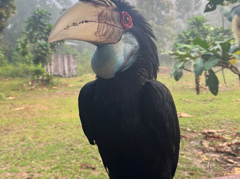 Cardamom Mountains-戈公必去景点