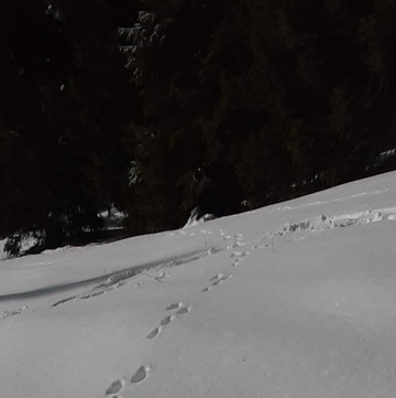 Passo Rolle-圣马蒂诺－迪卡斯特罗扎必去景点