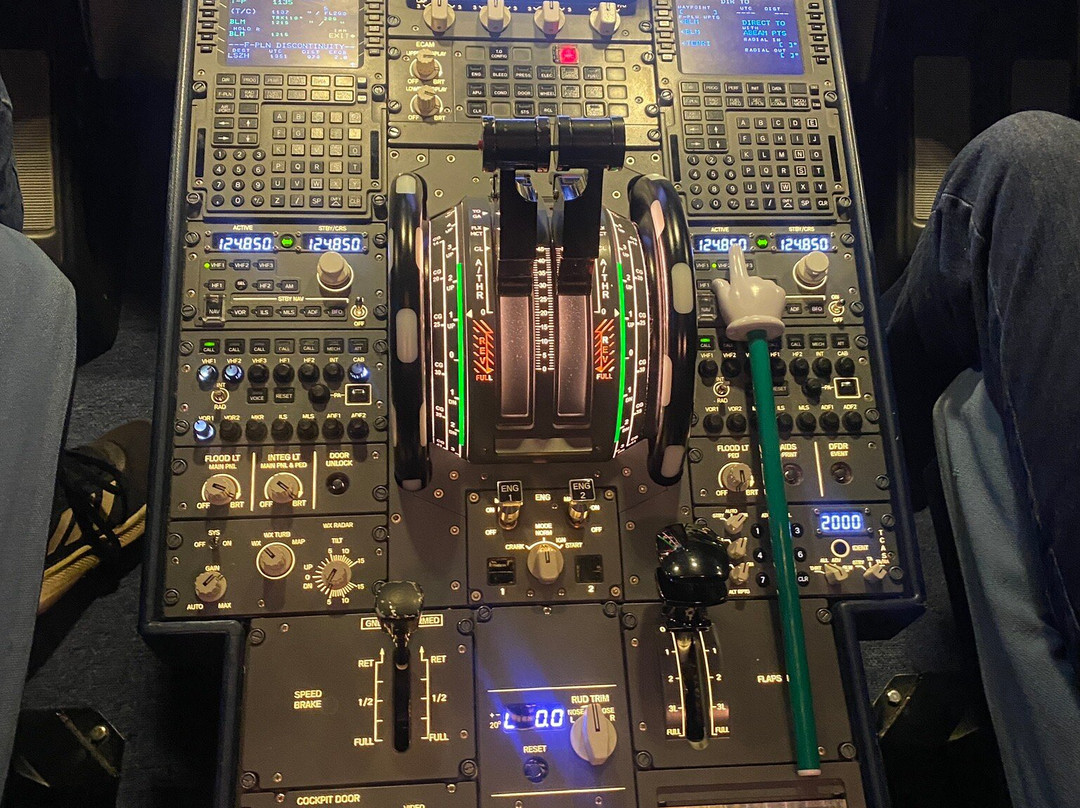 The Flight Experience-纽卡斯尔必去景点