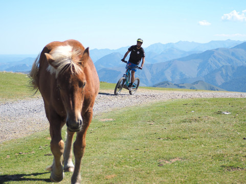 La forêt d'Iraty en trottinette électrique-Larrau必去景点