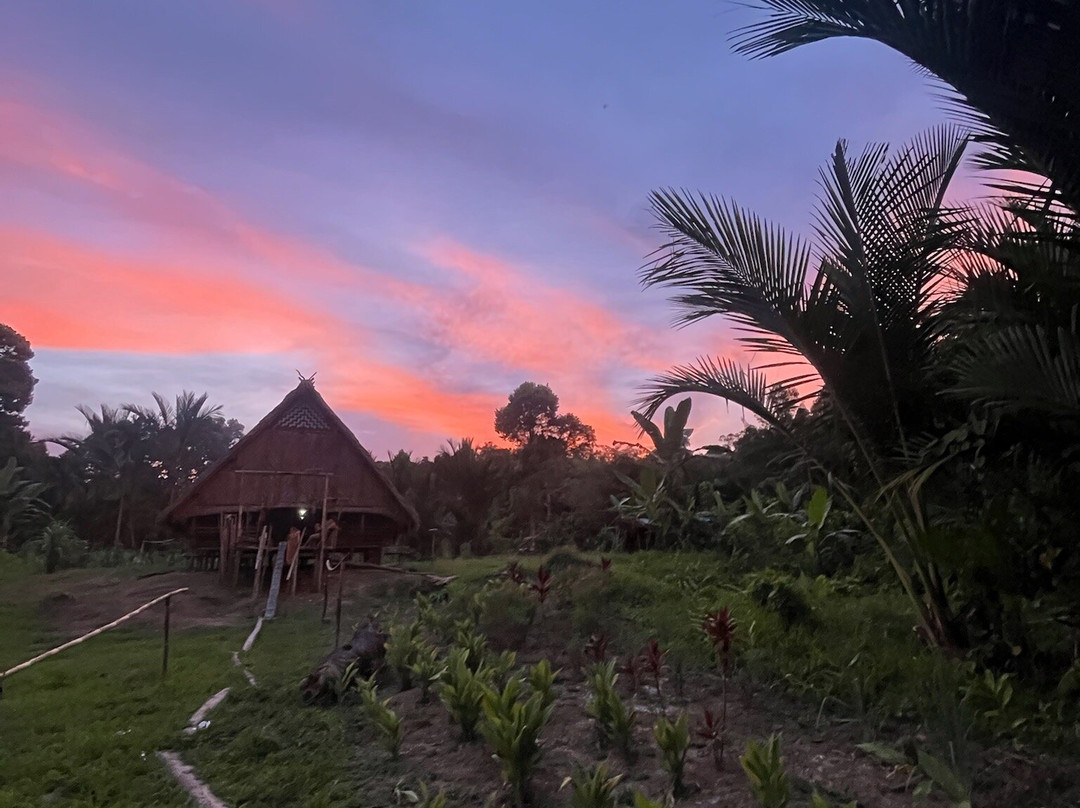 Mentawai Tribe Tour-巴东必去景点