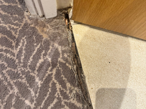 Champneys Henlow Spa-Henlow必去景点