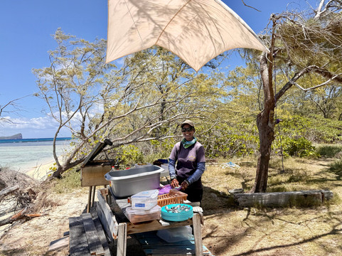 La Mouette Martial-开普马欧呵必去景点