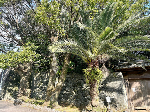 Fukue Castle Ruins-五岛市必去景点