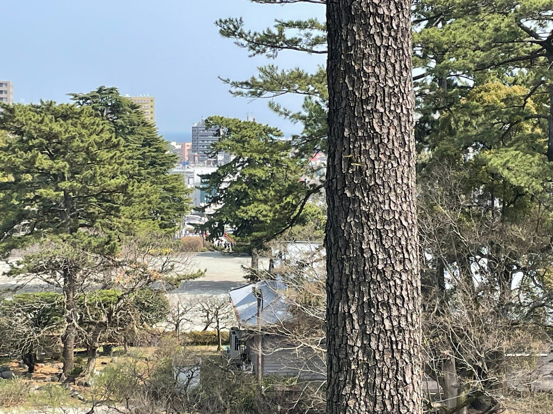 Odawara Castle Park-小田原市必去景点