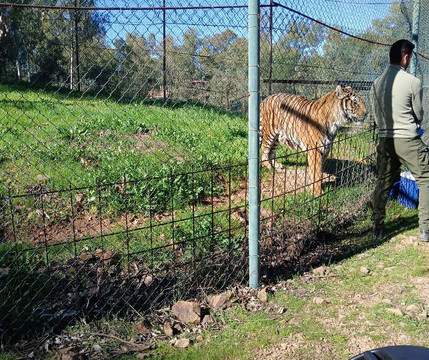 La Reserva del Castillo de las Guardas-塞维利亚必去景点