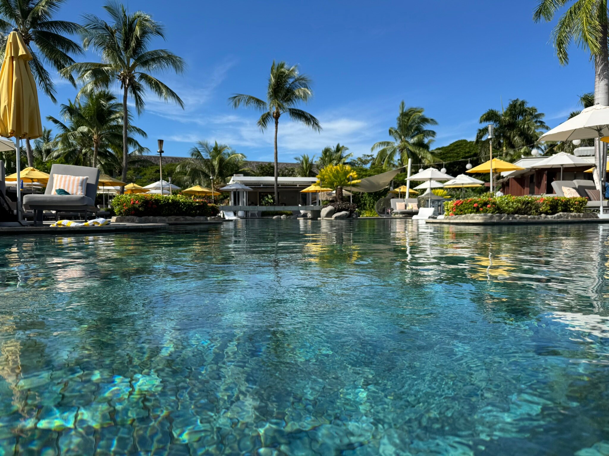 斐济索菲特水疗度假酒店-泳池