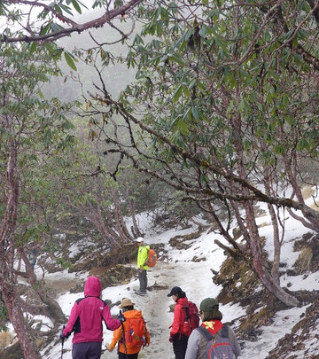 Incredible Treks-加德满都必去景点