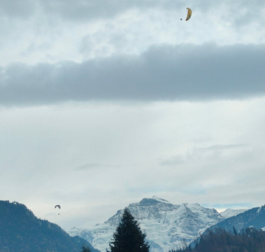 Hohematte Park-因特拉肯必去景点
