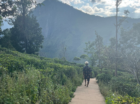 Jay’S Tours-科伦坡必去景点