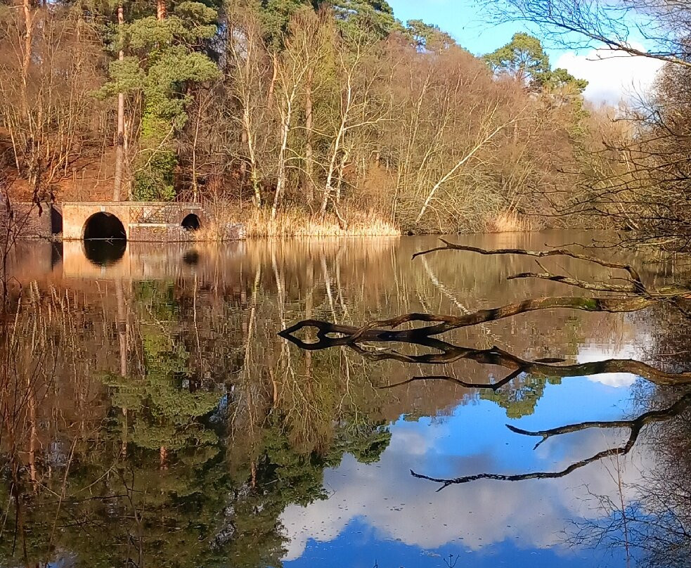 Stockgrove Country Park-Heath and Reach必去景点