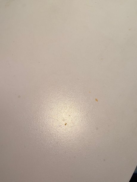 卡伦盛泰乐度假村-官方