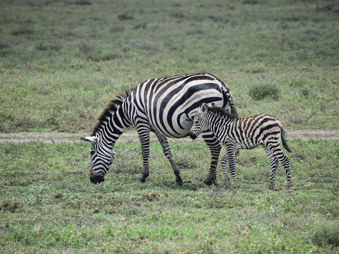 Calabash Adventures-阿鲁沙必去景点