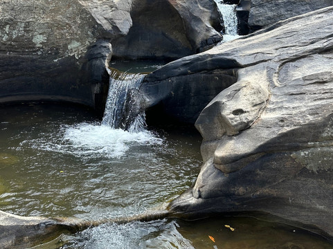 Eco Love Tours-加勒必去景点