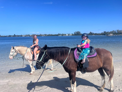 Florida Beach Horses-布雷登顿必去景点