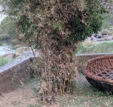 Leo Comforts River Side