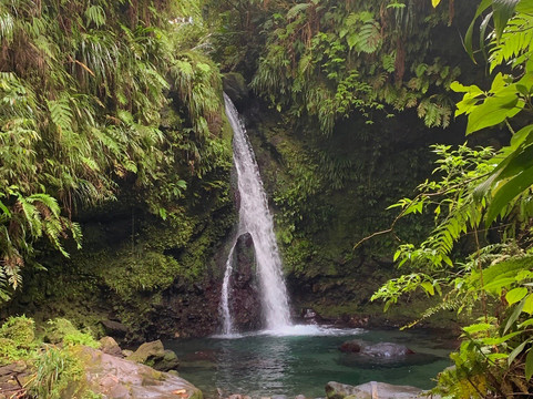 Jacko Falls-Morne Trois Pitons National Park必去景点