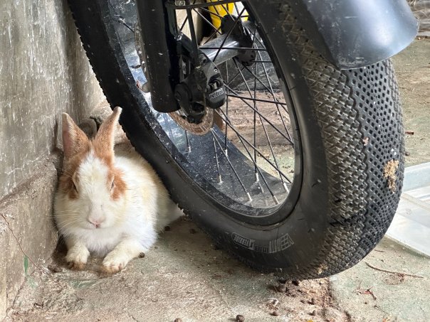 Riverside Luxury Pool Villa 88 Place-泳池