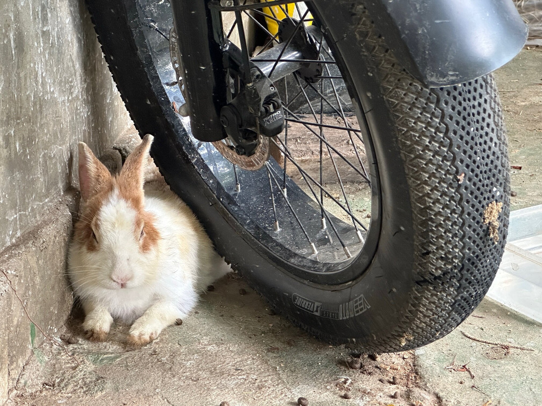 Riverside Luxury Pool Villa 88 Place主图