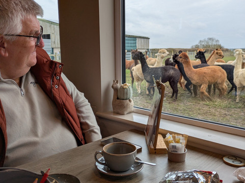 The Alpaca Centre at JandJ Alpacas-特伦特河畔纽瓦克必去景点