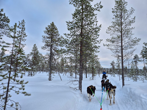 伊纳里远足之旅-伊纳里必去景点