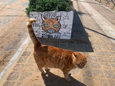 Ginger's Mosaic (King of Stoupa Bay)-Stoupa必去景点