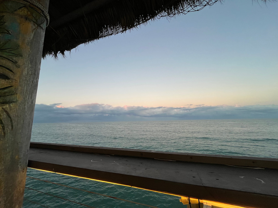 Rikki Tiki Tavern-可可海滩必去景点