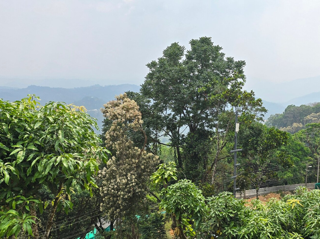 Kacholam Serviced Villa