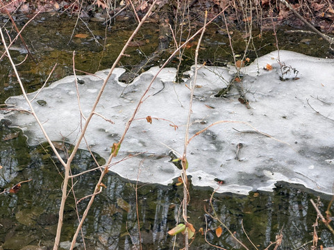 Susquehanna State Park-Havre de Grace必去景点