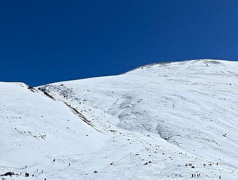 Yume Samdong (Zero Point)-Lachung必去景点