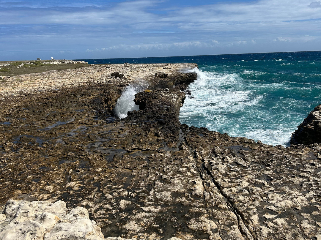 Tropical Adventures - Island Safari-圣 约翰必去景点