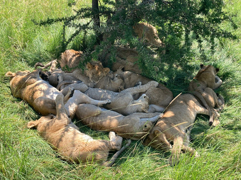 Earthlife Expeditions-阿鲁沙必去景点