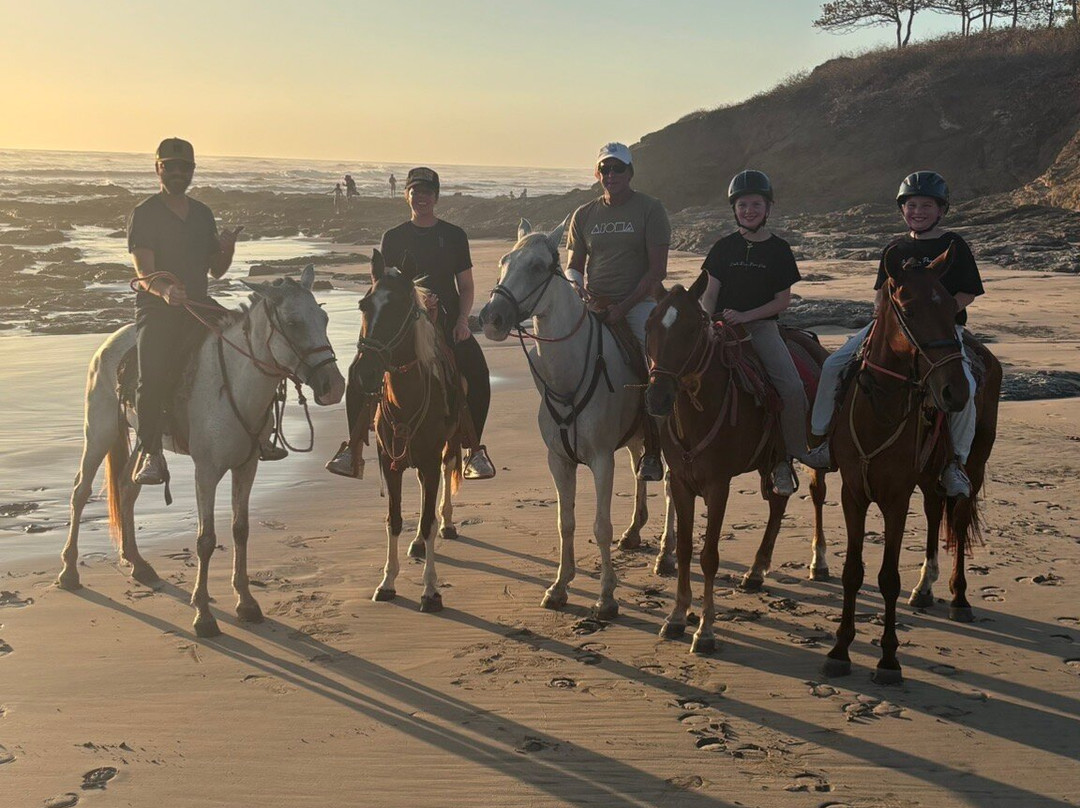 Guti Tours-Playa Avellanas必去景点