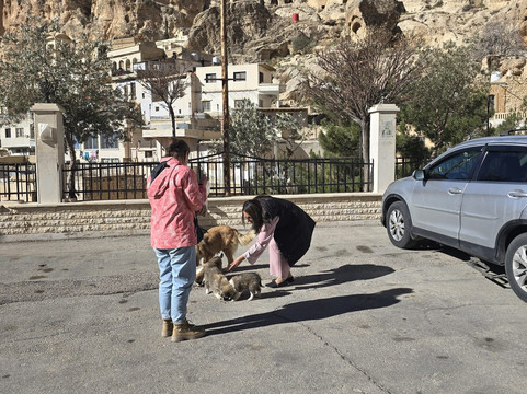 Syrian Guides-大马士革必去景点