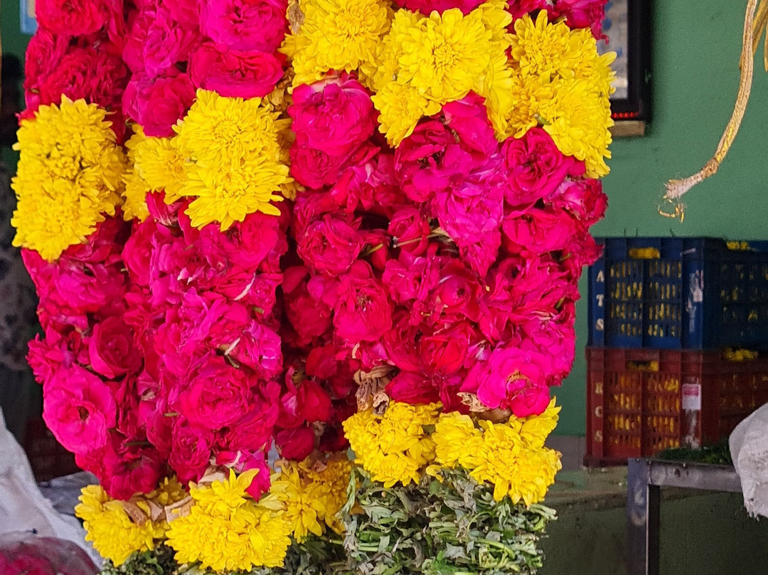 Madurai Inhabitants-马杜赖必去景点